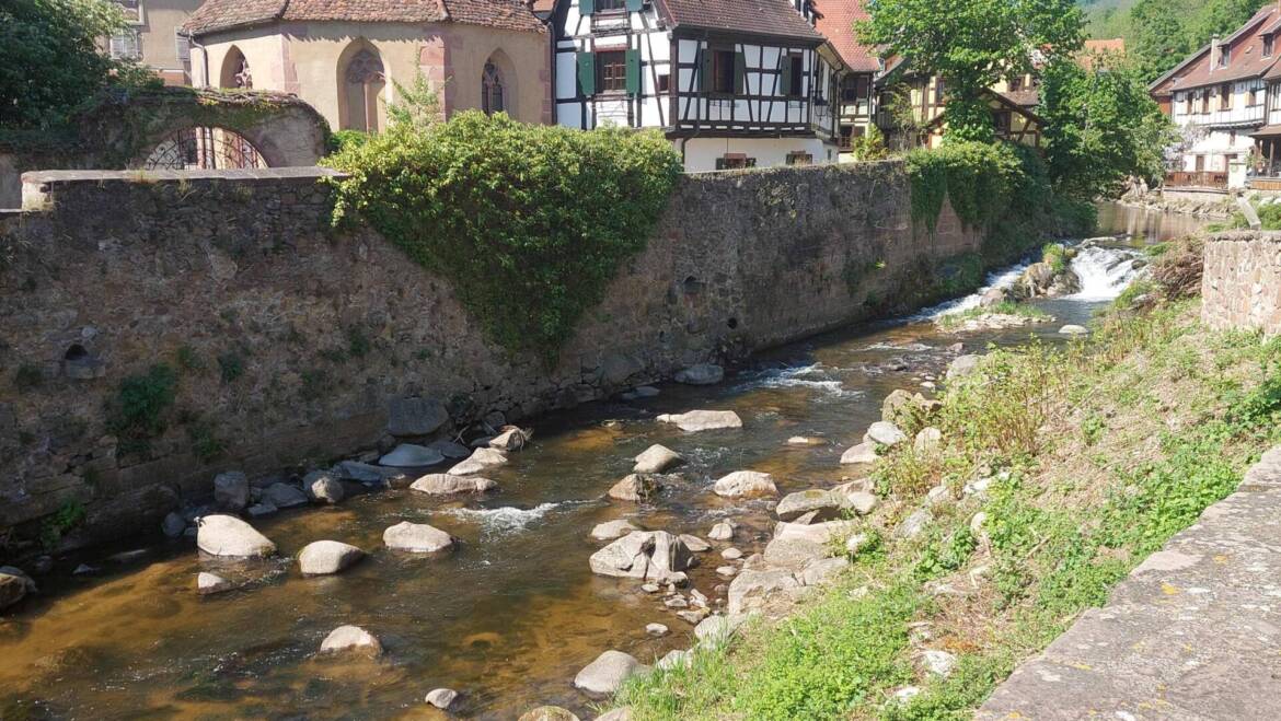 3 daagse uitstap naar Alsace 2025